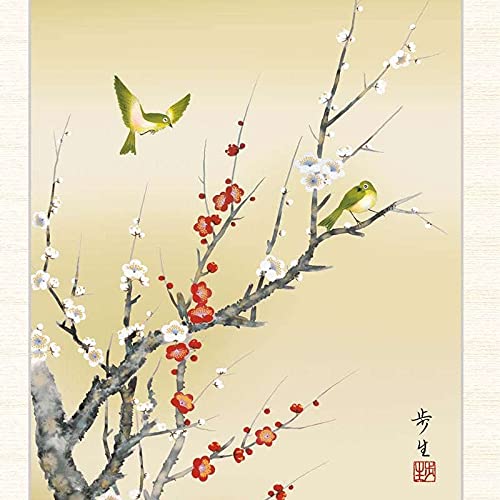 真作/山本紅雲/白梅に鴬図/ウグイス/花鳥図/春/掛軸/名家伝来/AK-447 Amazon.co.jp: 日本画 北山歩生 紅白梅に鶯（こうはくばいにうぐいす